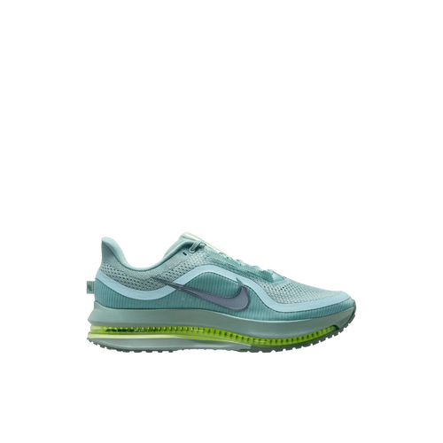 Nike Pegasus Premium 41s Running