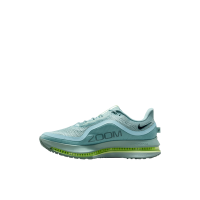 Nike Pegasus Premium 41s Running