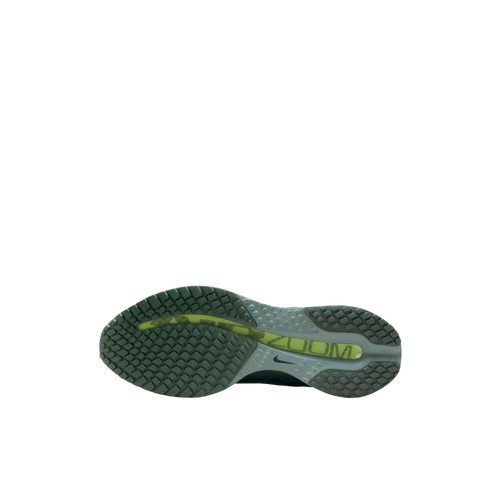 Nike Pegasus Premium 41s Running