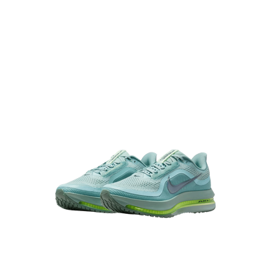 Nike Pegasus Premium 41s Running